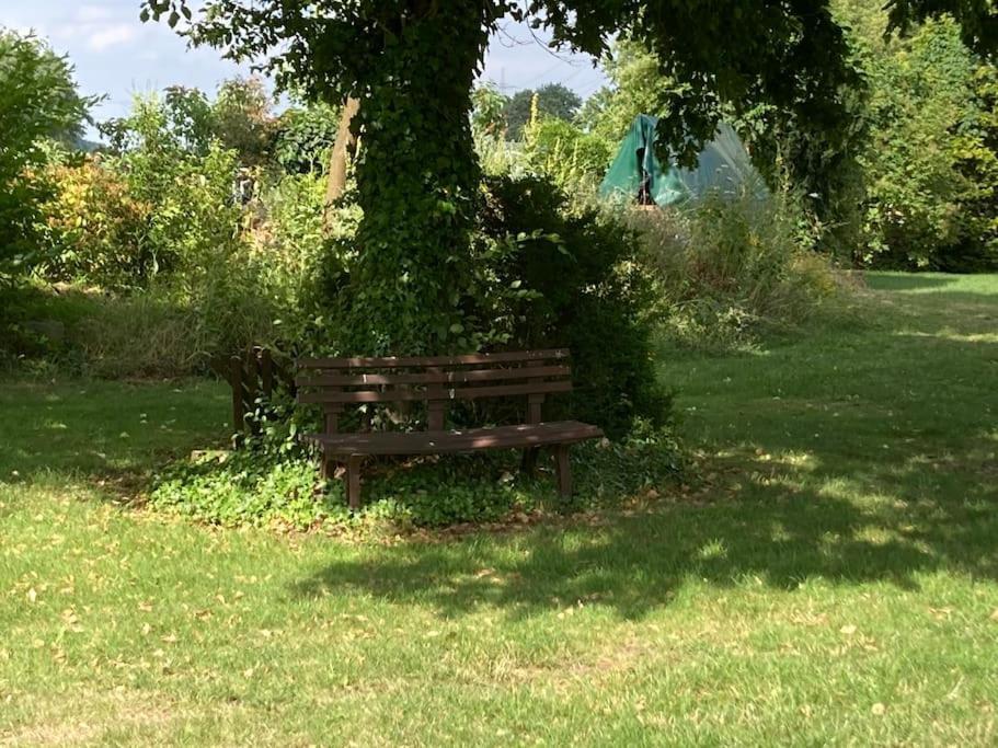 Helle Wohnung Mit Wintergarten - Nahe Ruhrgebiet Und Freizeitpark Movie Park Bottrop Eksteriør bilde